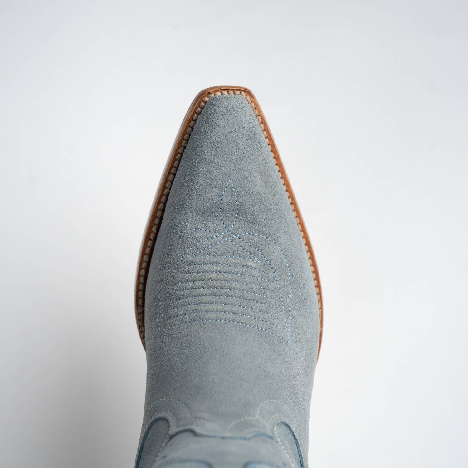 The Thistle | Baby Blue