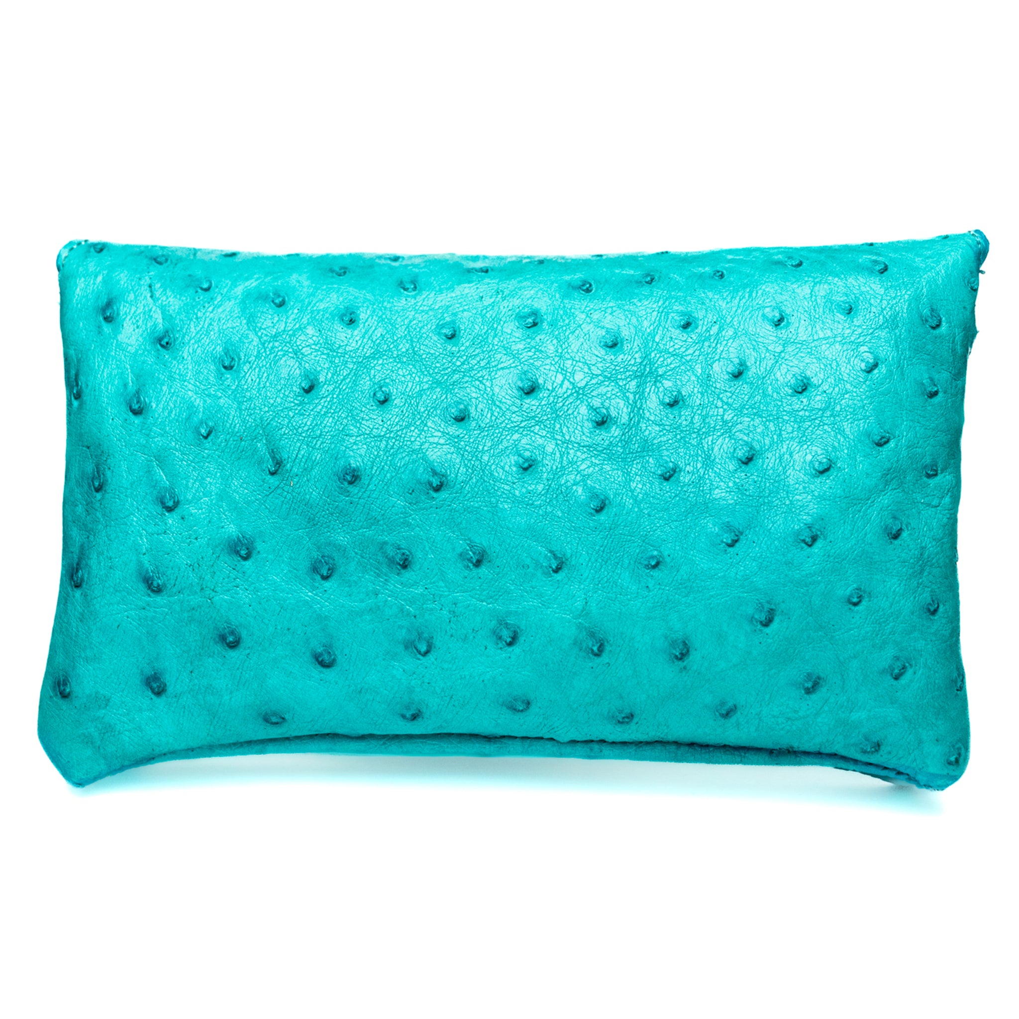 The Ostrich Pouch | Turquoise