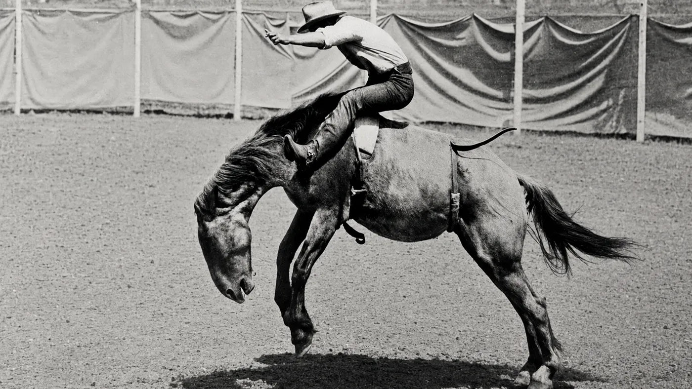 Paul Bond riding a bucking bronc at a rodeo, vintage photograph